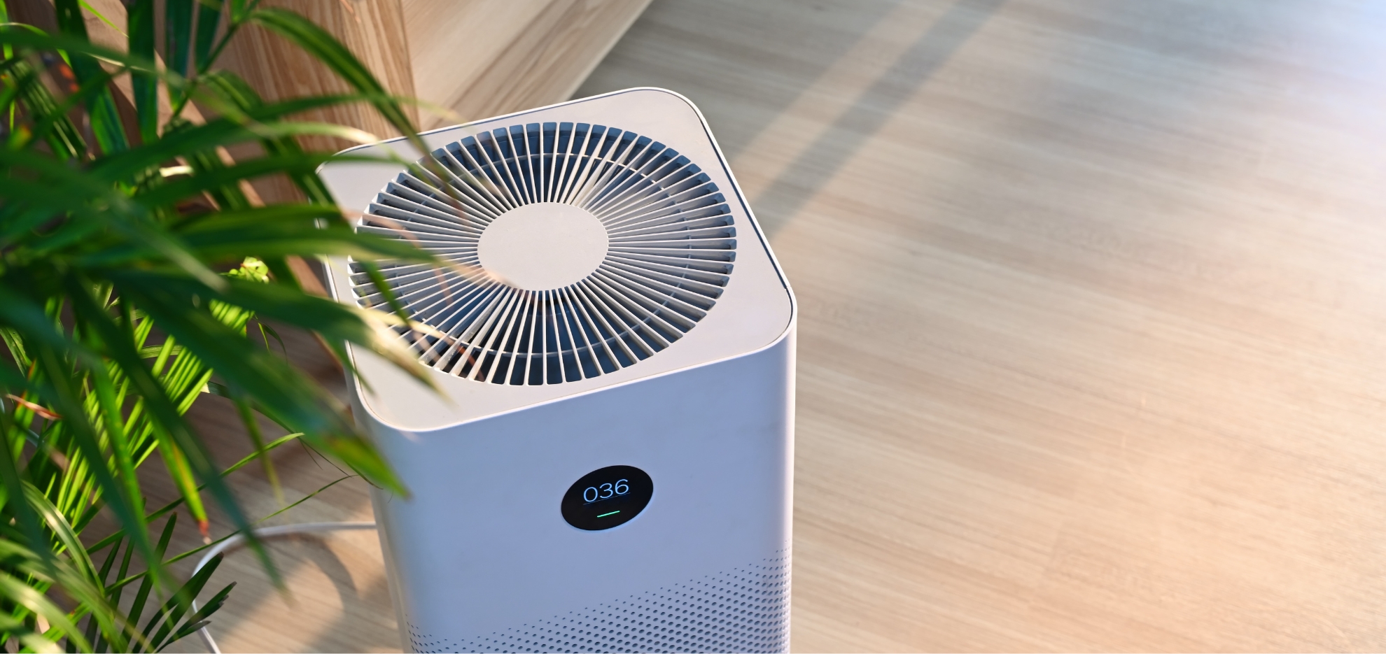 Indoor Air Quality Solutions